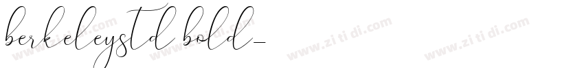 berkeleystd bold字体转换